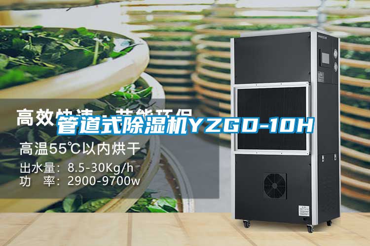 管道式除濕機(jī)YZGD-10H