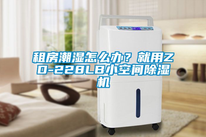 租房潮濕怎么辦？就用ZD-228LB小空間除濕機(jī)