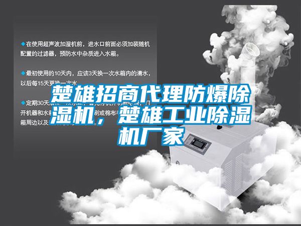 楚雄招商代理防爆除濕機(jī)，楚雄工業(yè)除濕機(jī)廠家