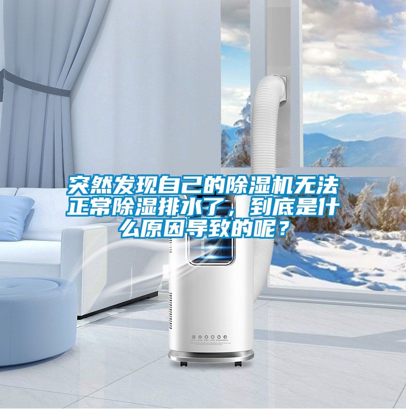 突然發(fā)現(xiàn)自己的除濕機無法正常除濕排水了，到底是什么原因導致的呢？