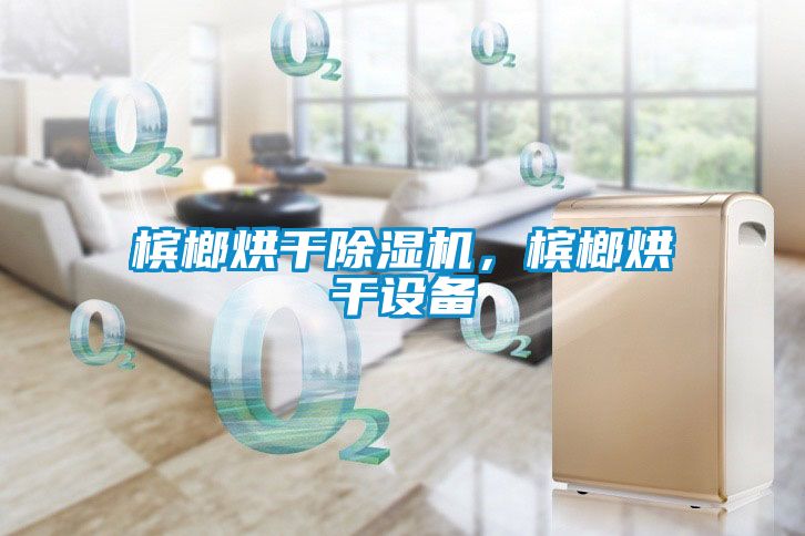 檳榔烘干除濕機(jī)，檳榔烘干設(shè)備