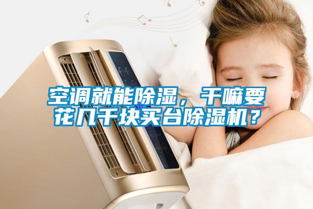 空調(diào)就能除濕，干嘛要花幾千塊買臺除濕機？