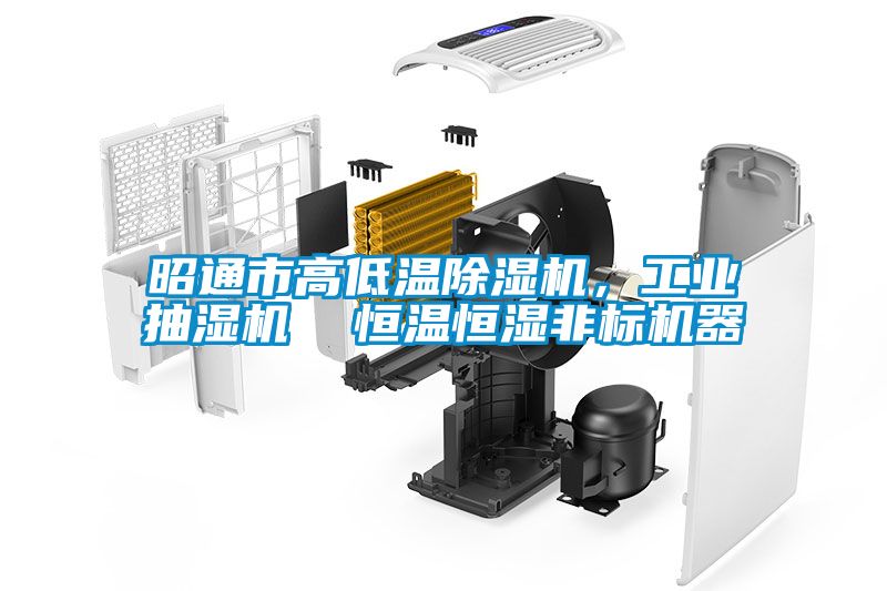 昭通市高低溫除濕機(jī)，工業(yè)抽濕機(jī)  恒溫恒濕非標(biāo)機(jī)器