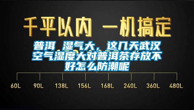 普洱 濕氣大，這幾天武漢空氣濕度大對普洱茶存放不好怎么防潮呢