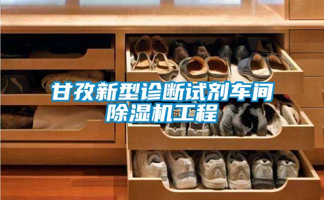 甘孜新型診斷試劑車間除濕機(jī)工程