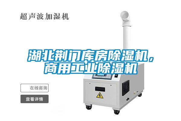 湖北荊門庫(kù)房除濕機(jī)，商用工業(yè)除濕機(jī)
