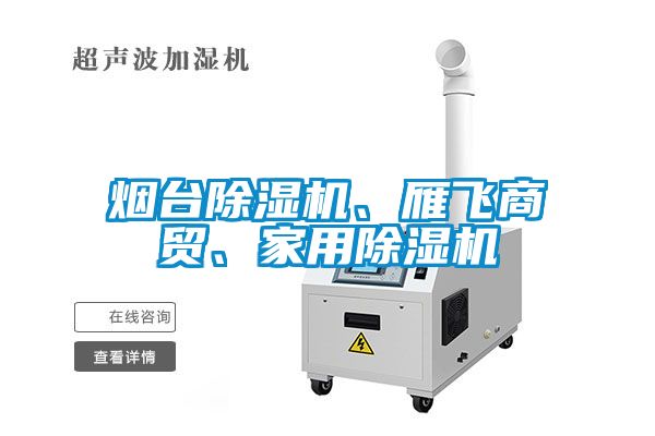 煙臺除濕機、雁飛商貿(mào)、家用除濕機
