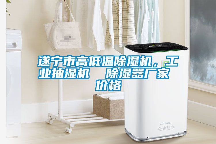 遂寧市高低溫除濕機，工業(yè)抽濕機  除濕器廠家 價格
