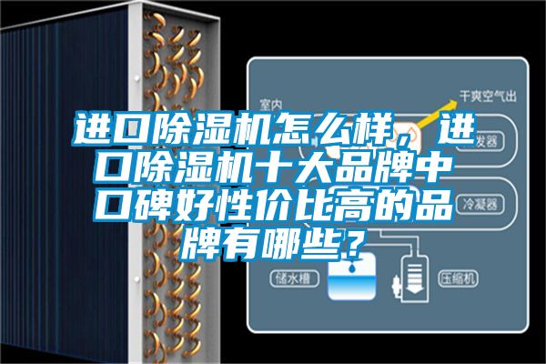 進(jìn)口除濕機(jī)怎么樣，進(jìn)口除濕機(jī)十大品牌中口碑好性價(jià)比高的品牌有哪些？