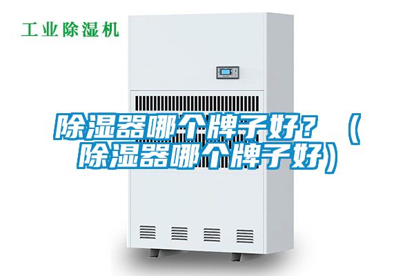 除濕器哪個牌子好？（除濕器哪個牌子好）