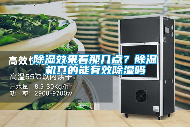 除濕效果看那幾點？除濕機真的能有效除濕嗎