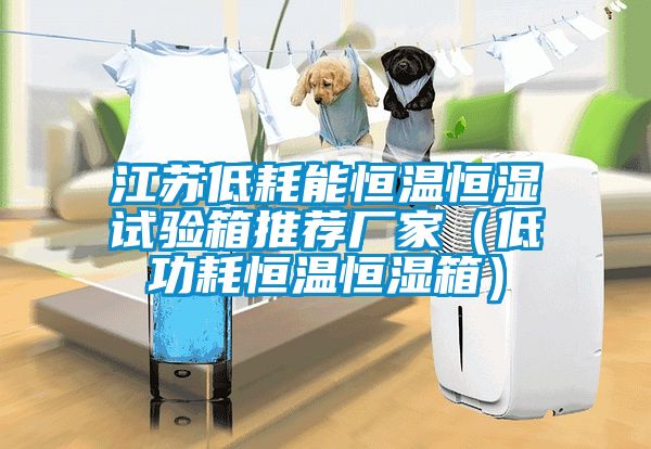 江蘇低耗能恒溫恒濕試驗(yàn)箱推薦廠家（低功耗恒溫恒濕箱）