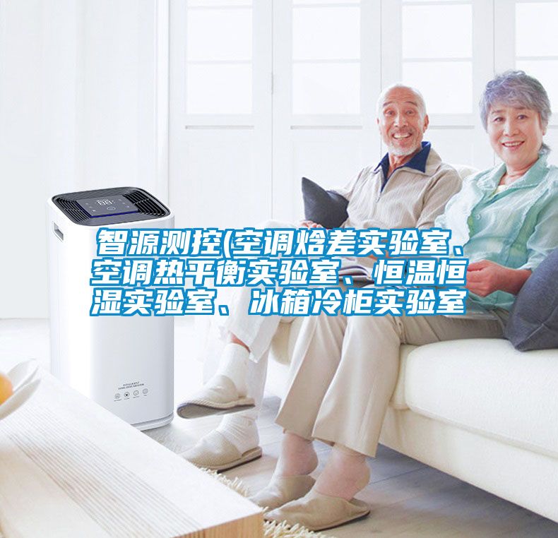 智源測(cè)控(空調(diào)焓差實(shí)驗(yàn)室、空調(diào)熱平衡實(shí)驗(yàn)室、恒溫恒濕實(shí)驗(yàn)室、冰箱冷柜實(shí)驗(yàn)室