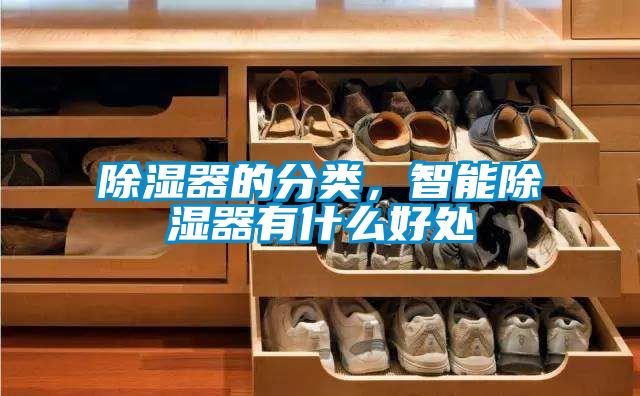 除濕器的分類，智能除濕器有什么好處