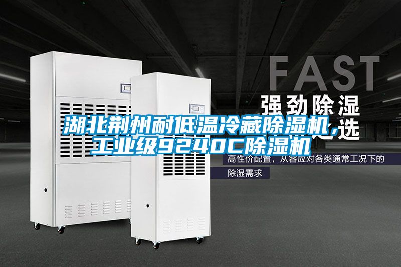 湖北荊州耐低溫冷藏除濕機，工業(yè)級9240C除濕機