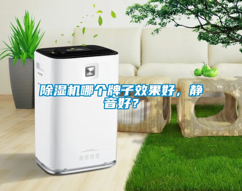 除濕機哪個牌子效果好，靜音好？