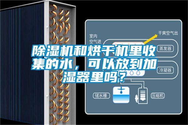 除濕機(jī)和烘干機(jī)里收集的水，可以放到加濕器里嗎？