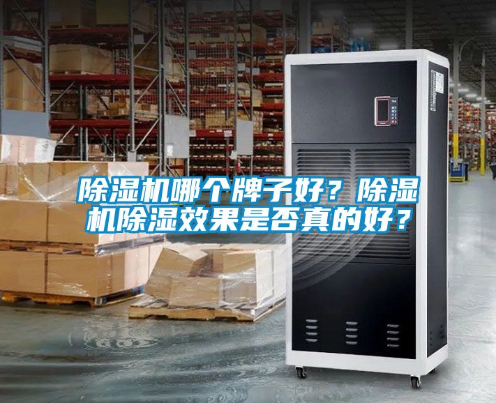 除濕機哪個牌子好？除濕機除濕效果是否真的好？