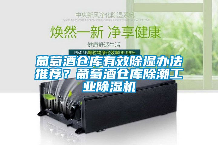葡萄酒倉庫有效除濕辦法推薦？葡萄酒倉庫除潮工業(yè)除濕機(jī)