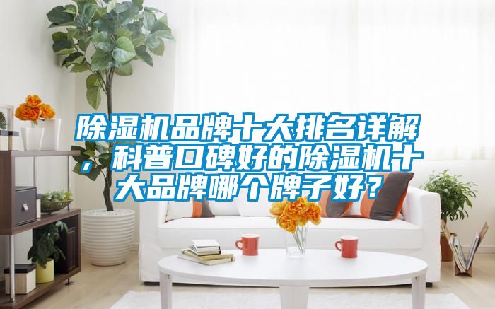 除濕機品牌十大排名詳解，科普口碑好的除濕機十大品牌哪個牌子好？