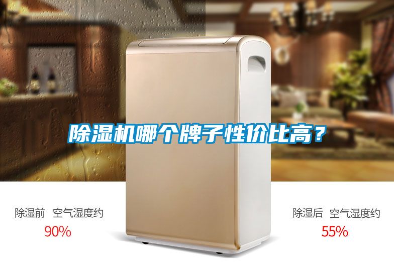 除濕機哪個牌子性價比高？