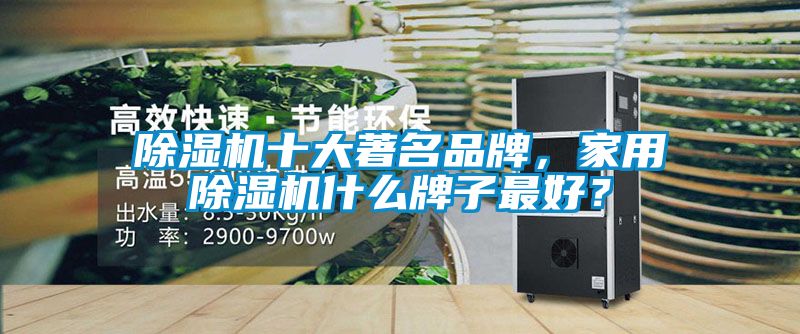 除濕機(jī)十大著名品牌，家用除濕機(jī)什么牌子最好？