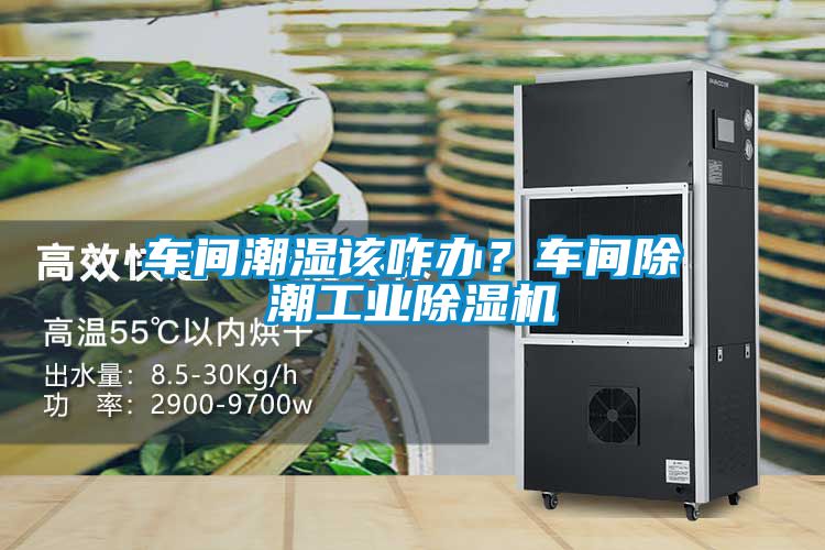 車間潮濕該咋辦？車間除潮工業(yè)除濕機(jī)