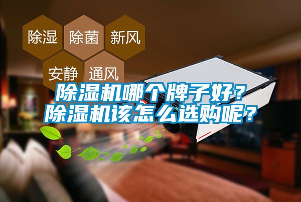 除濕機哪個牌子好？除濕機該怎么選購呢？