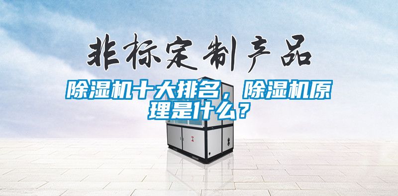 除濕機(jī)十大排名，除濕機(jī)原理是什么？