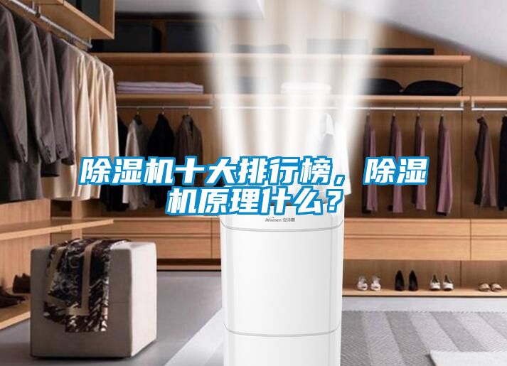 除濕機(jī)十大排行榜，除濕機(jī)原理什么？