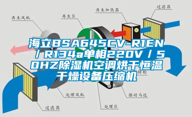 海立BSA645CV-R1EN／R134a單相220V／50HZ除濕機空調(diào)烘干恒溫干燥設備壓縮機