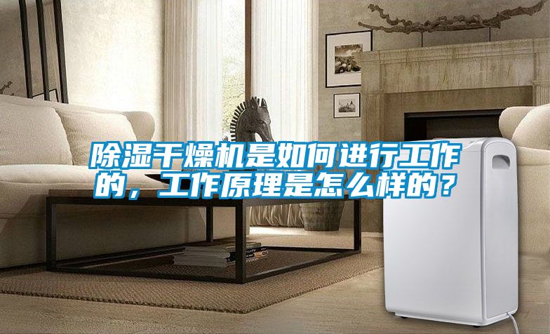 除濕干燥機(jī)是如何進(jìn)行工作的，工作原理是怎么樣的？