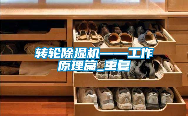 轉(zhuǎn)輪除濕機——工作原理篇_重復(fù)