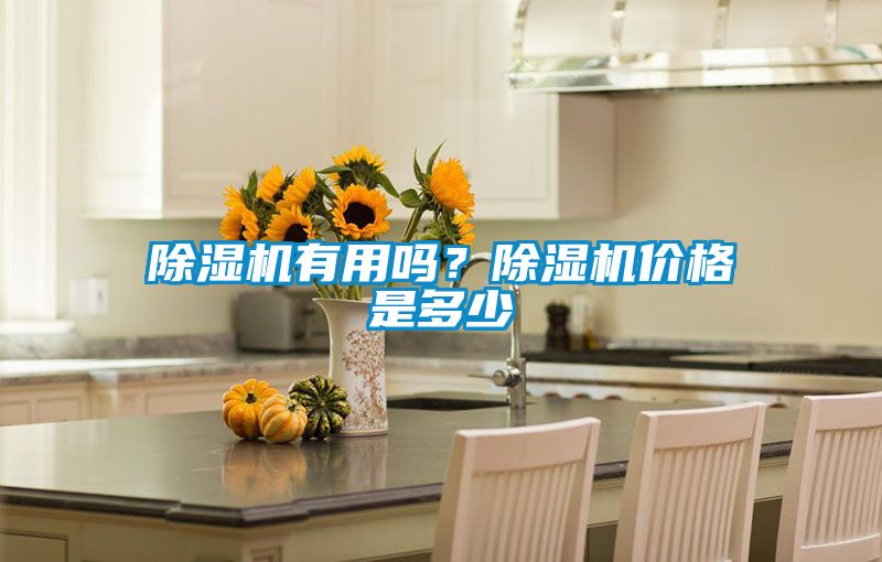 除濕機有用嗎？除濕機價格是多少
