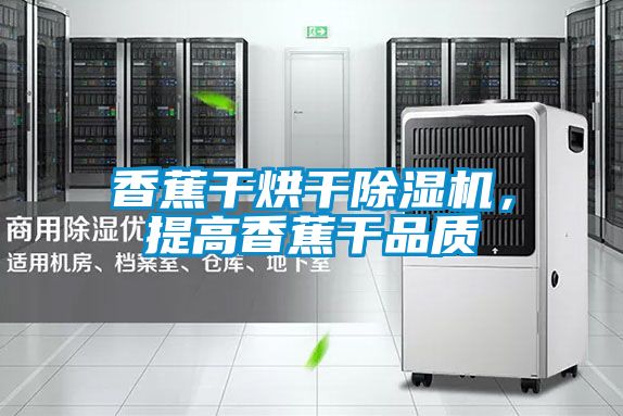 香蕉干烘干除濕機，提高香蕉干品質(zhì)