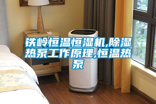 鐵嶺恒溫恒濕機,除濕熱泵工作原理,恒溫?zé)岜?/></p>
						    <p style=