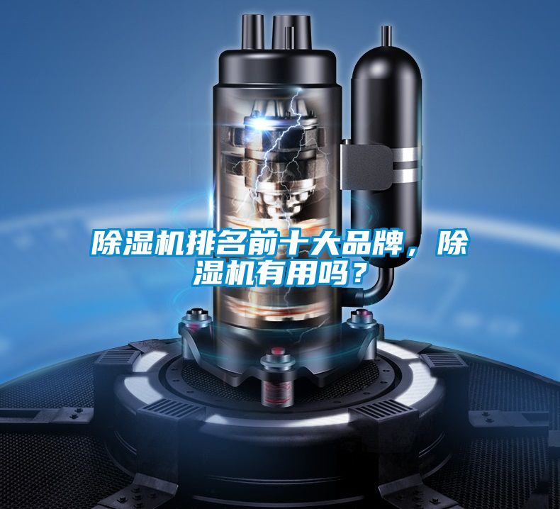 除濕機(jī)排名前十大品牌，除濕機(jī)有用嗎？