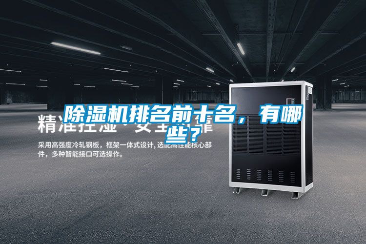 除濕機(jī)排名前十名，有哪些？