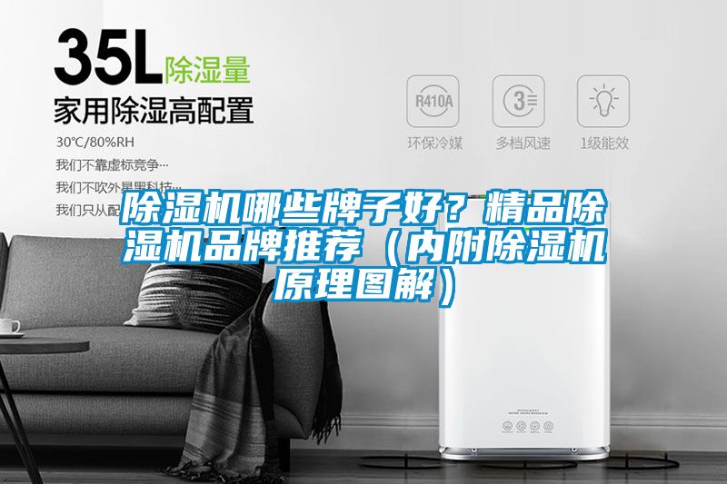 除濕機(jī)哪些牌子好？精品除濕機(jī)品牌推薦（內(nèi)附除濕機(jī)原理圖解）