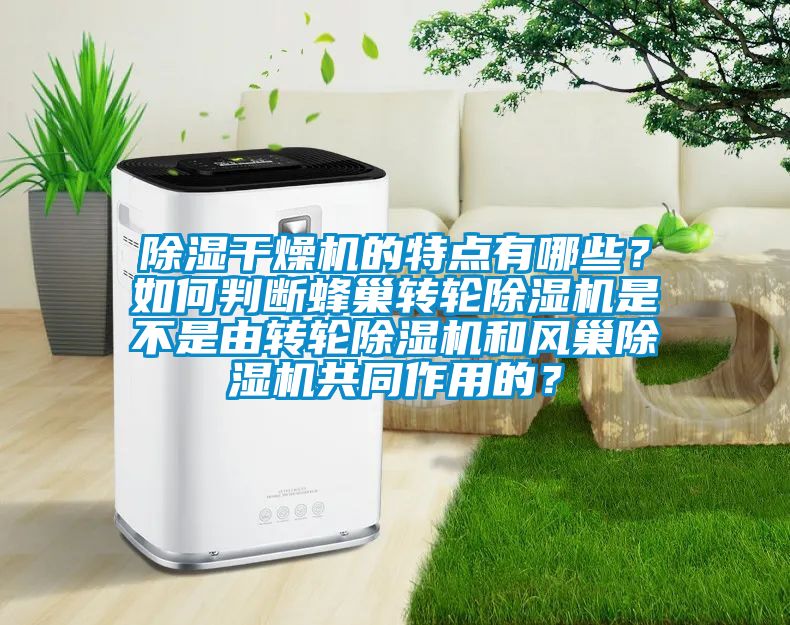 除濕干燥機的特點有哪些？如何判斷蜂巢轉(zhuǎn)輪除濕機是不是由轉(zhuǎn)輪除濕機和風巢除濕機共同作用的？