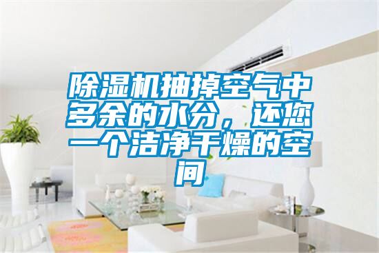 除濕機(jī)抽掉空氣中多余的水分，還您一個(gè)潔凈干燥的空間