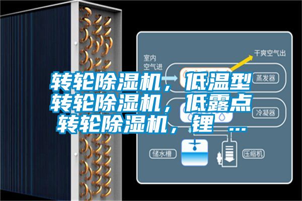轉輪除濕機，低溫型轉輪除濕機，低露點轉輪除濕機，鋰 ...