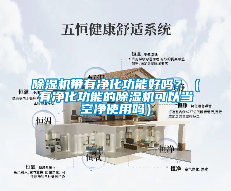 除濕機(jī)帶有凈化功能好嗎？（有凈化功能的除濕機(jī)可以當(dāng)空凈使用嗎）