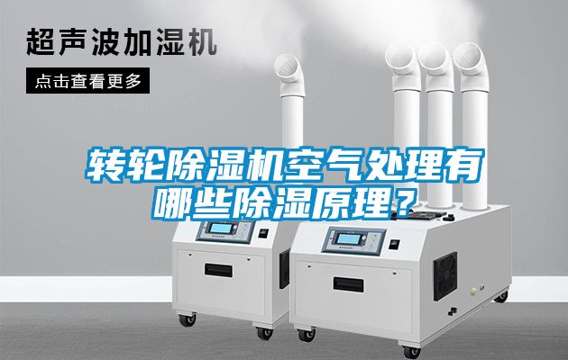 轉(zhuǎn)輪除濕機(jī)空氣處理有哪些除濕原理？