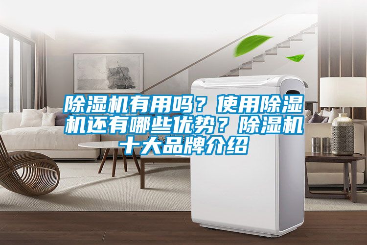 除濕機(jī)有用嗎？使用除濕機(jī)還有哪些優(yōu)勢？除濕機(jī)十大品牌介紹