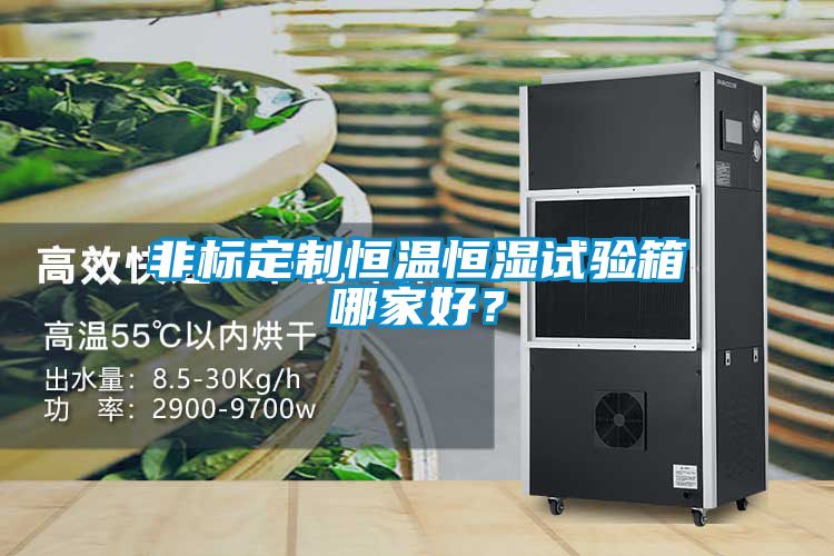 非標(biāo)定制恒溫恒濕試驗(yàn)箱哪家好？