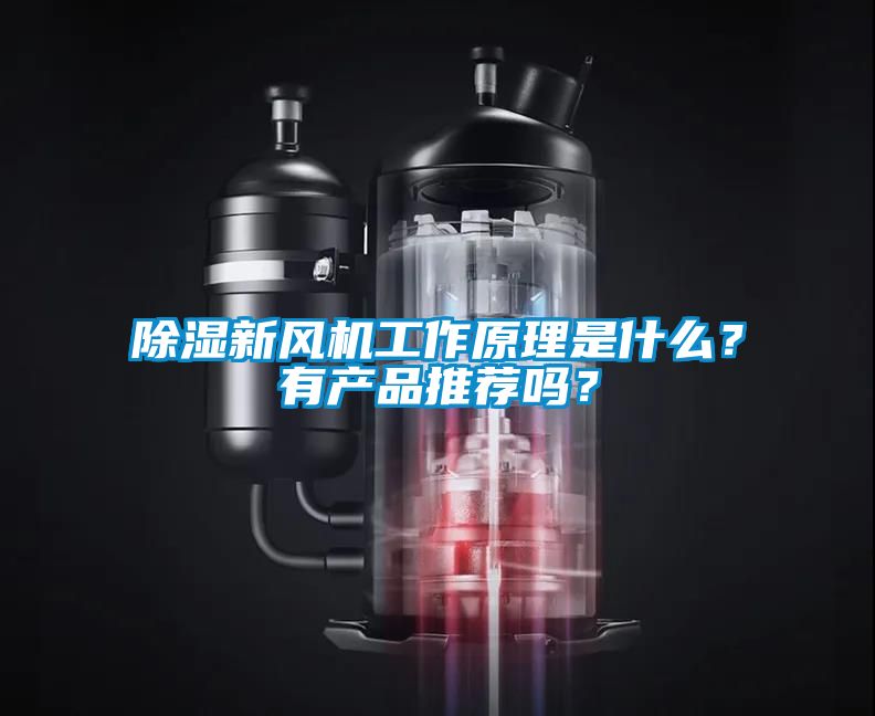 除濕新風(fēng)機(jī)工作原理是什么？有產(chǎn)品推薦嗎？
