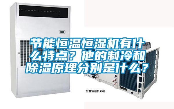 節(jié)能恒溫恒濕機有什么特點？他的制冷和除濕原理分別是什么？