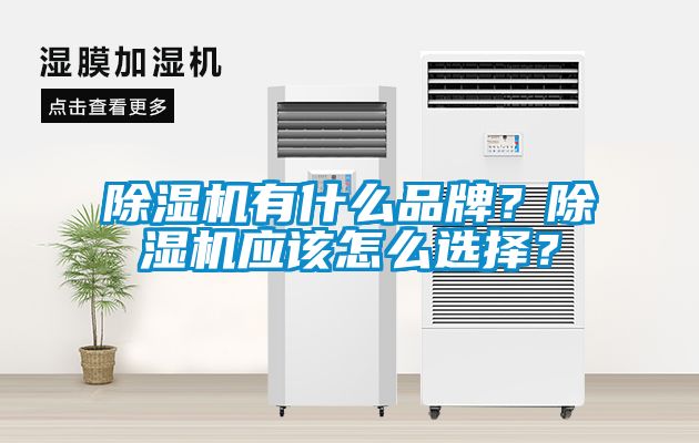 除濕機(jī)有什么品牌？除濕機(jī)應(yīng)該怎么選擇？