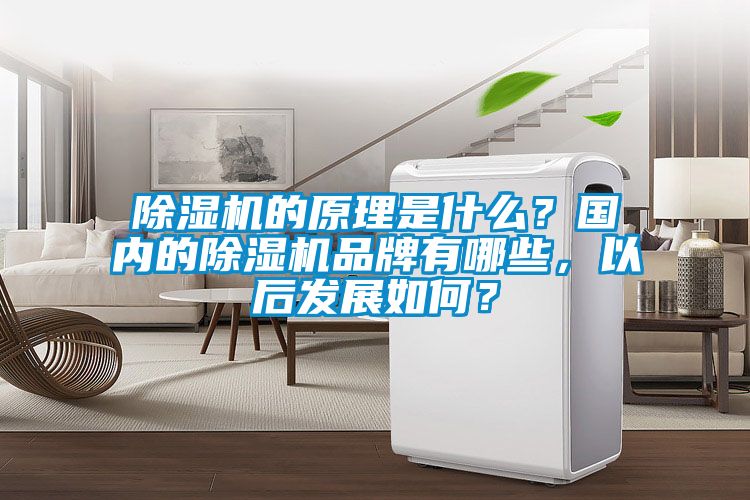 除濕機(jī)的原理是什么？國內(nèi)的除濕機(jī)品牌有哪些，以后發(fā)展如何？
